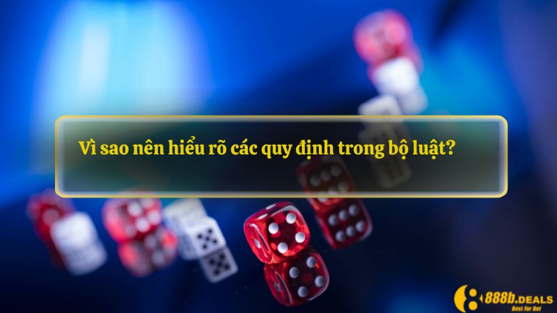 Vì sao nên hiểu rõ các quy định trong bộ luật?