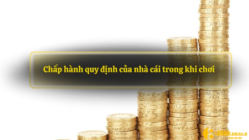 Chấp hành quy định của nhà cái trong khi chơi