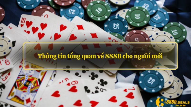 Thông tin tổng quan về 888B8 cho người mới